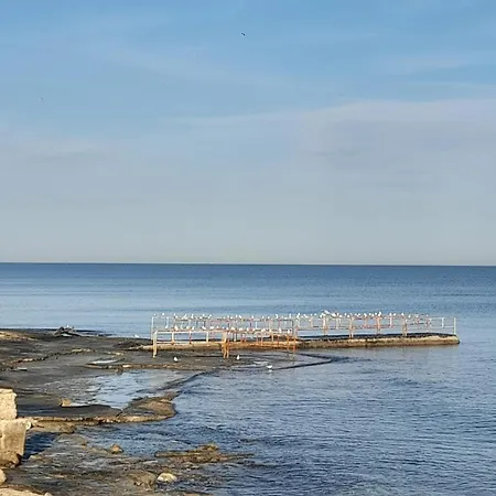 Mare Sunrise *