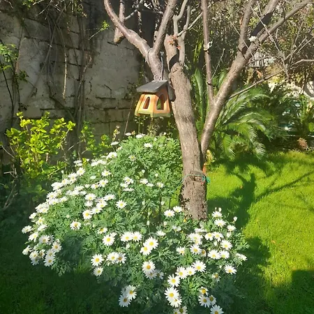 Apartamento Mare Sunrise Bari